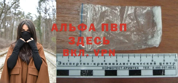 стафф Арсеньев