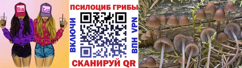Псилоцибиновые грибы мицелий  Поронайск 